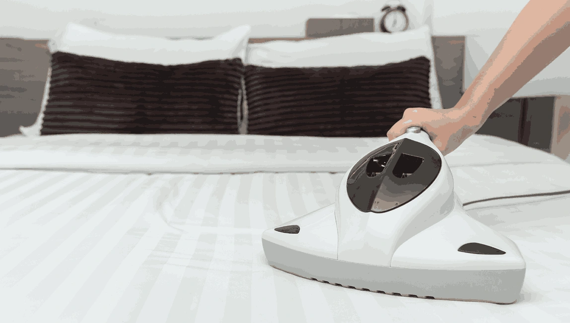 Professional Mattress Cleaning Banyule